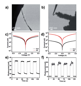 圖4：（a）（b）分別對應CdS納米帶和CdS/ZnO異質結安置在原位光學-光纖樣品桿中的TEM圖像。（c）（d）分別對應CdS納米帶和CdS/ZnO異質結I-V曲線的開關特性。（e）（f）分別對應CdS納米帶和CdS/ZnO異質結對周期性光信號的響應特性。