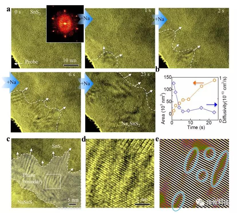 原位樣品桿觀測 原位樣品桿觀測