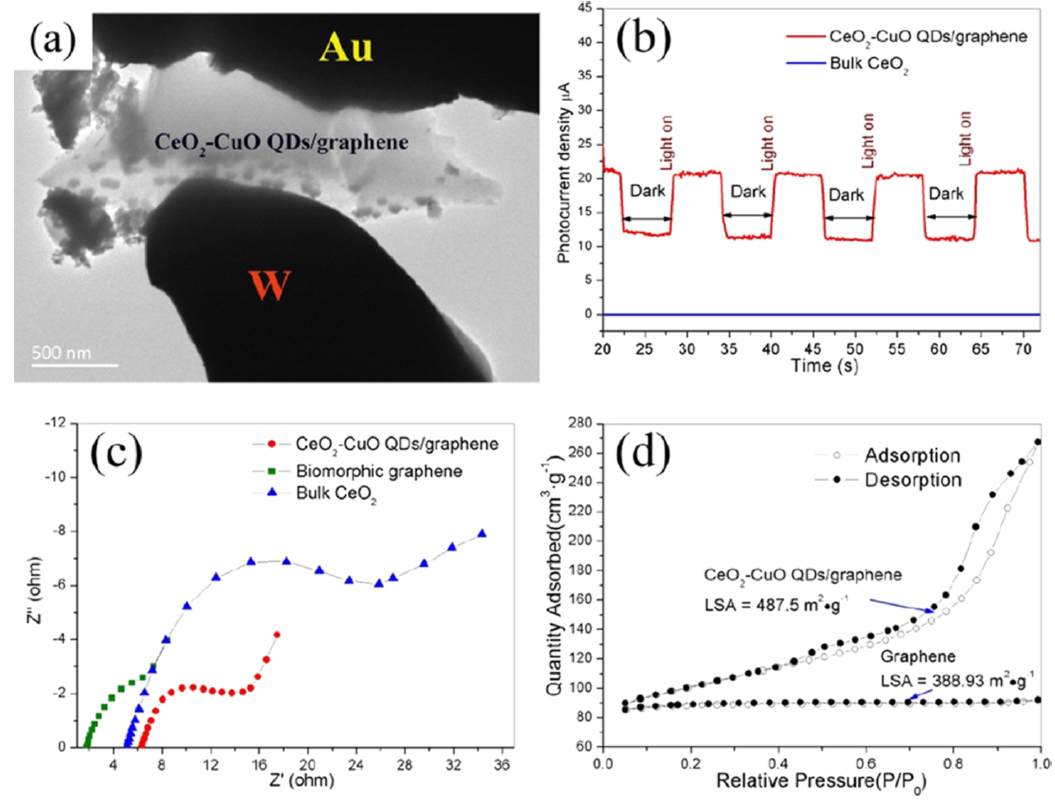 PicoFemto原位光學-電學樣品桿應用 PicoFemto原位光學-電學樣品桿應用