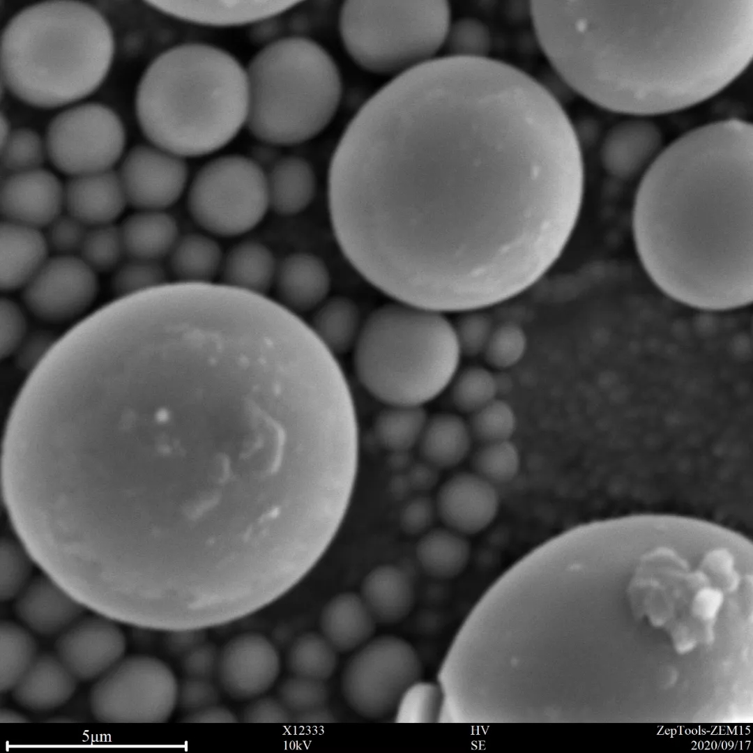 臺式掃描電鏡下錫球(會議現場拍攝) 臺式掃描電鏡下錫球(會議現場拍攝)