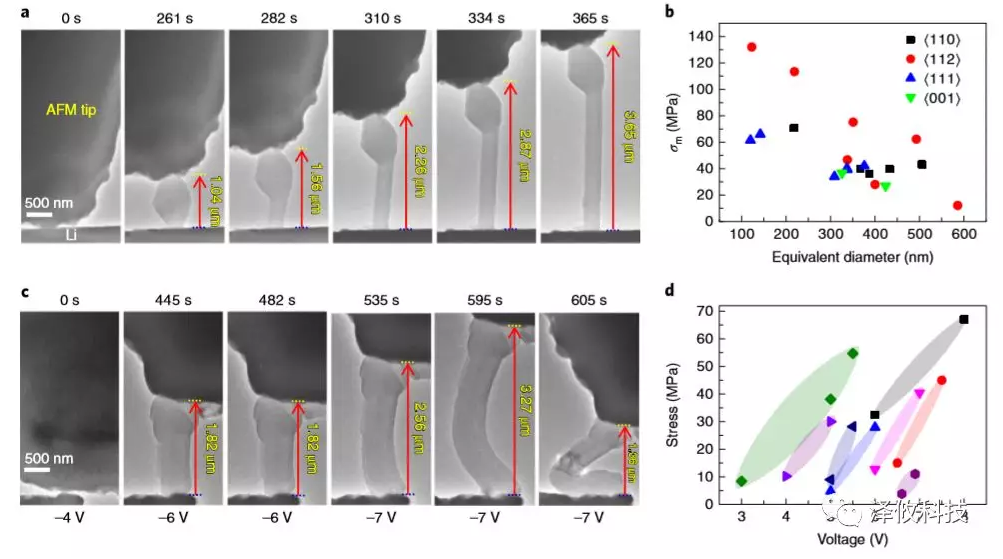 鋰晶須生長的原位AFM-ETEM成像以及在施加電壓下同時測量鋰晶須的應力變化。