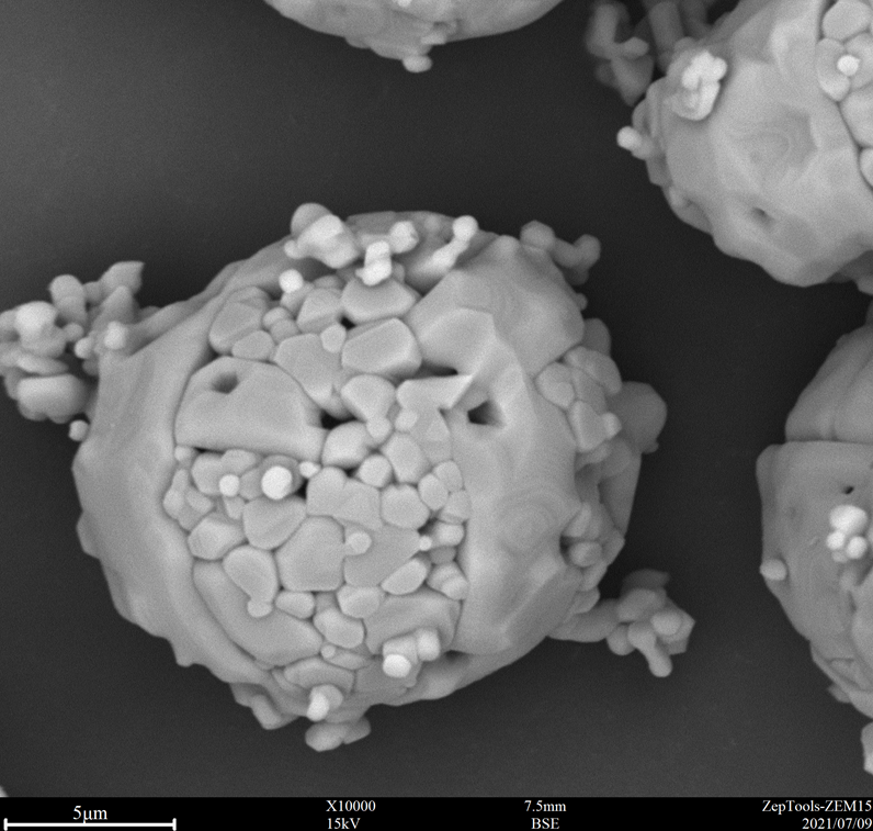 臺式掃描電鏡能譜一體機應用3.png 臺式掃描電鏡能譜一體機應用3.png