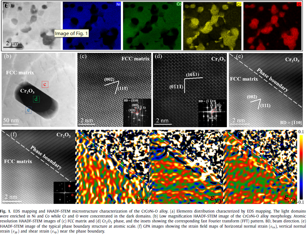 圖1 CrCoNi-O 合金的前期微觀結構表征.png