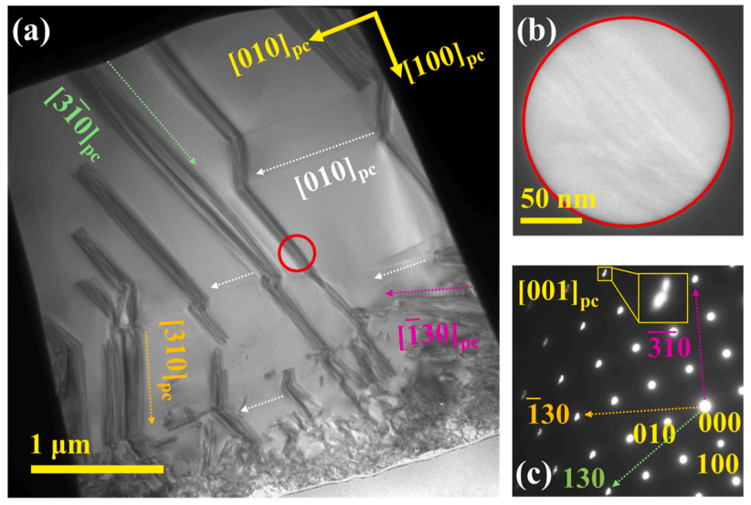 透射電子顯微鏡明場 透射電子顯微鏡明場